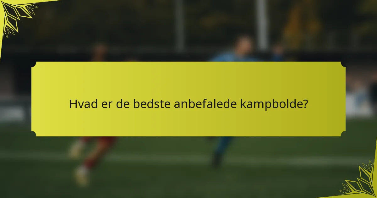 Hvad er de bedste anbefalede kampbolde?