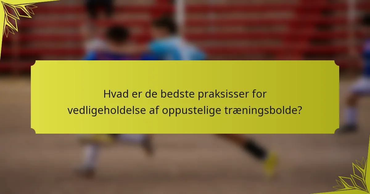 Hvad er de bedste praksisser for vedligeholdelse af oppustelige træningsbolde?