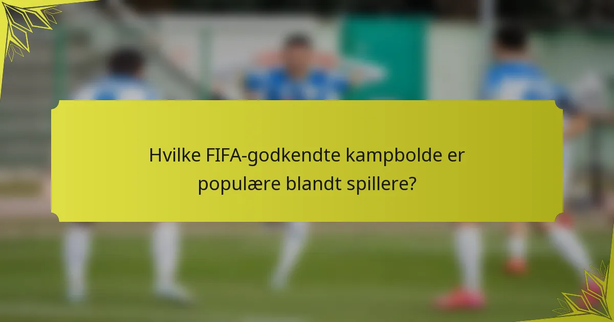 Hvilke FIFA-godkendte kampbolde er populære blandt spillere?