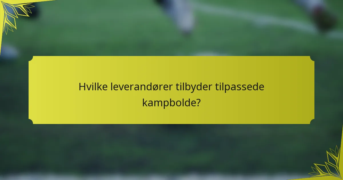 Hvilke leverandører tilbyder tilpassede kampbolde?