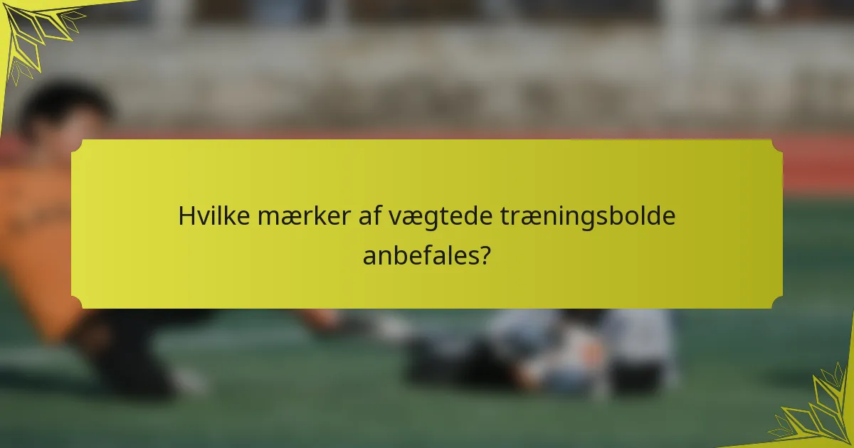 Hvilke mærker af vægtede træningsbolde anbefales?