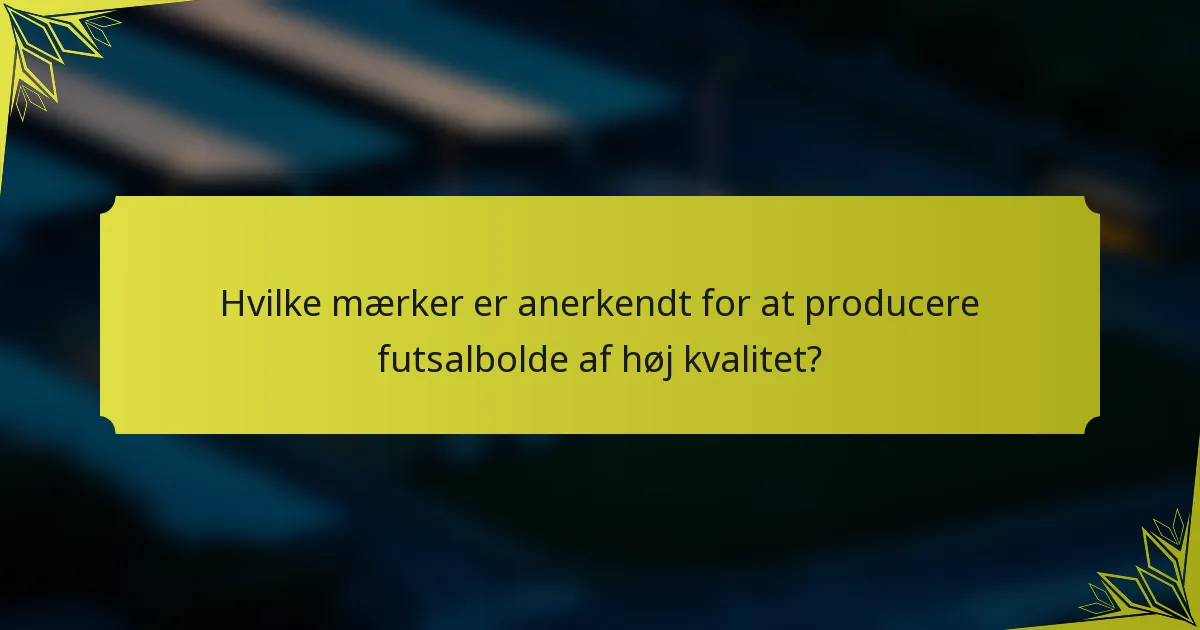 Hvilke mærker er anerkendt for at producere futsalbolde af høj kvalitet?