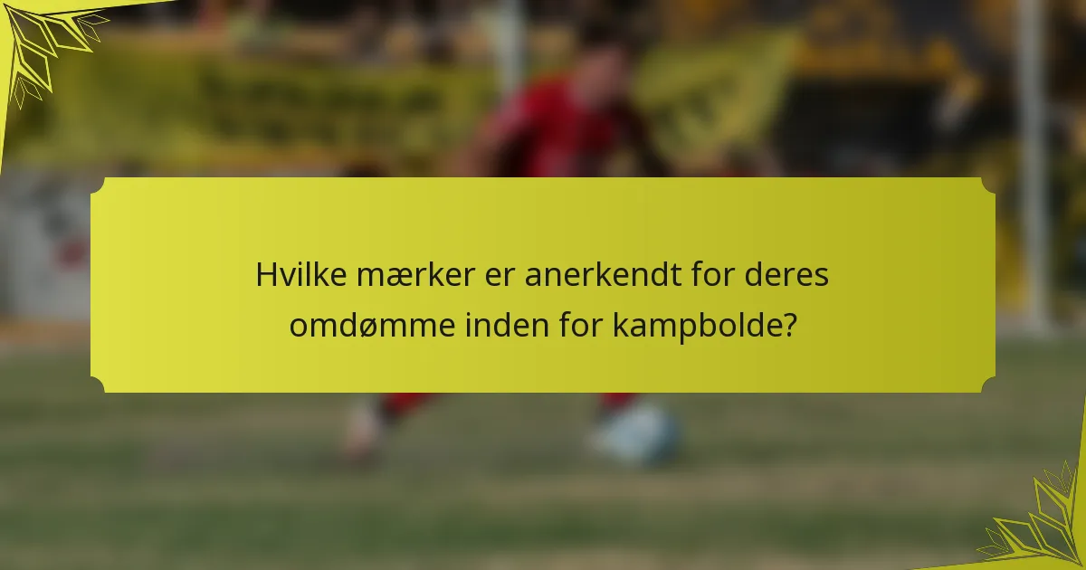 Hvilke mærker er anerkendt for deres omdømme inden for kampbolde?