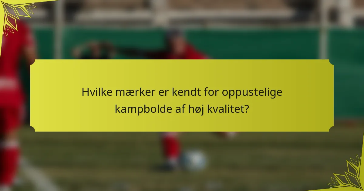 Hvilke mærker er kendt for oppustelige kampbolde af høj kvalitet?