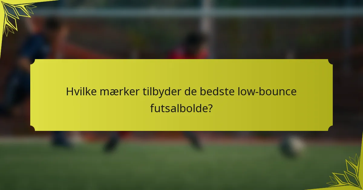 Hvilke mærker tilbyder de bedste low-bounce futsalbolde?