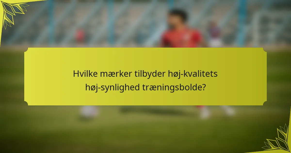 Hvilke mærker tilbyder høj-kvalitets høj-synlighed træningsbolde?