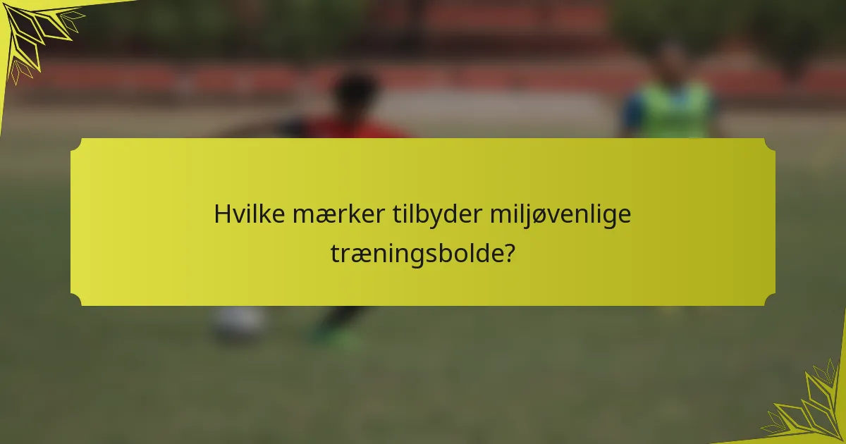 Hvilke mærker tilbyder miljøvenlige træningsbolde?