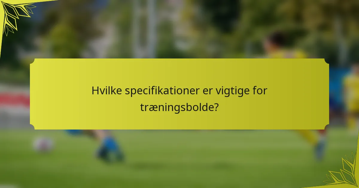 Hvilke specifikationer er vigtige for træningsbolde?