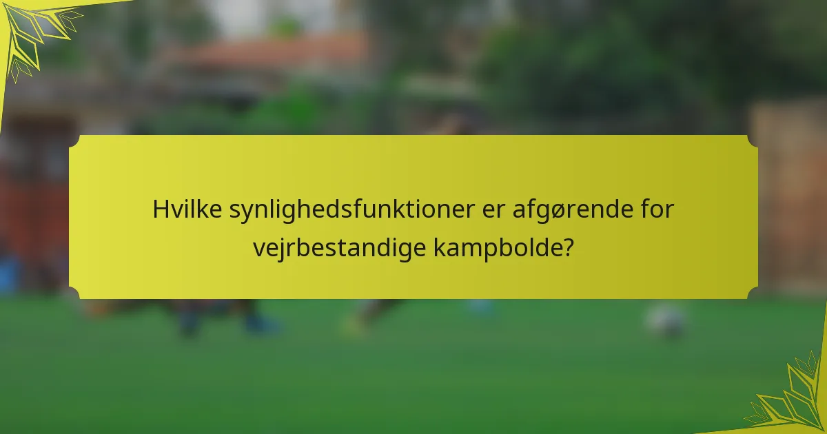 Hvilke synlighedsfunktioner er afgørende for vejrbestandige kampbolde?