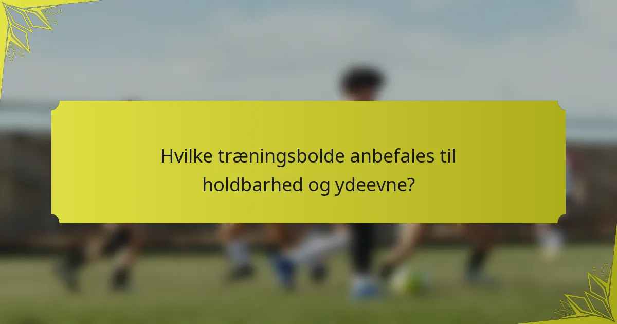 Hvilke træningsbolde anbefales til holdbarhed og ydeevne?