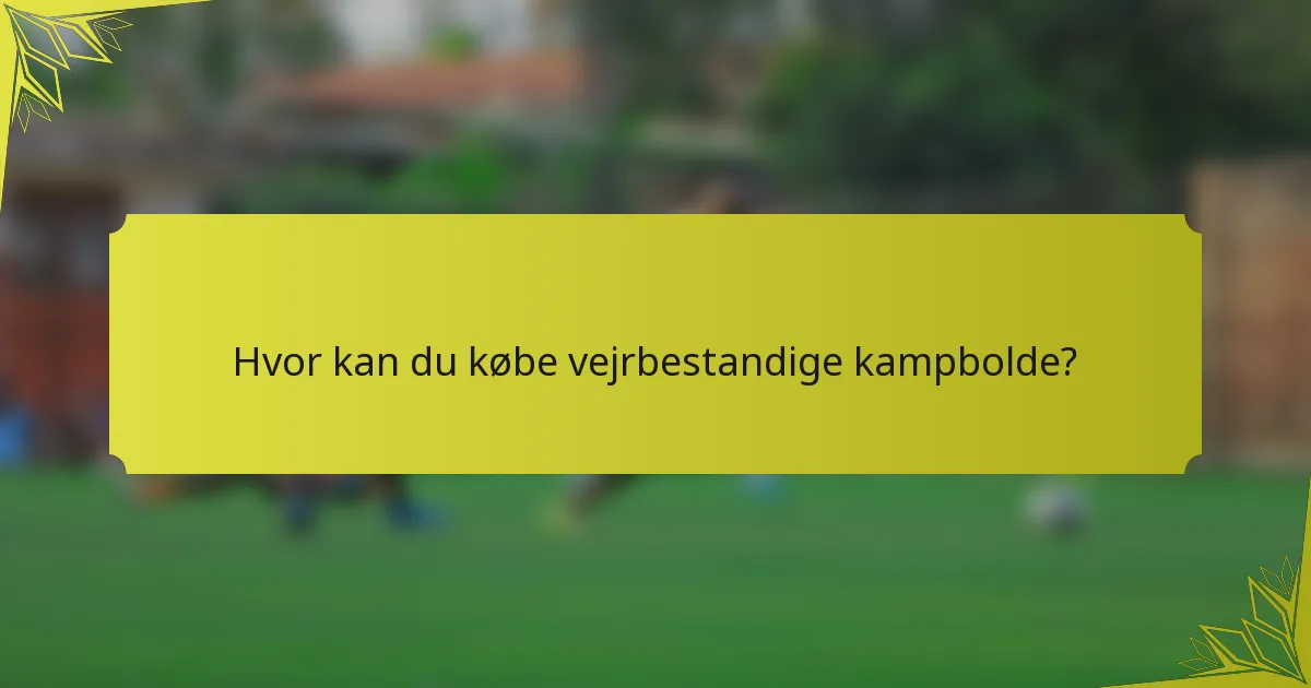 Hvor kan du købe vejrbestandige kampbolde?