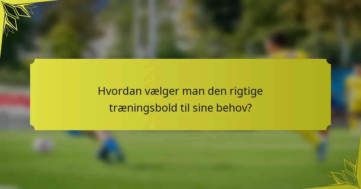 Hvordan vælger man den rigtige træningsbold til sine behov?